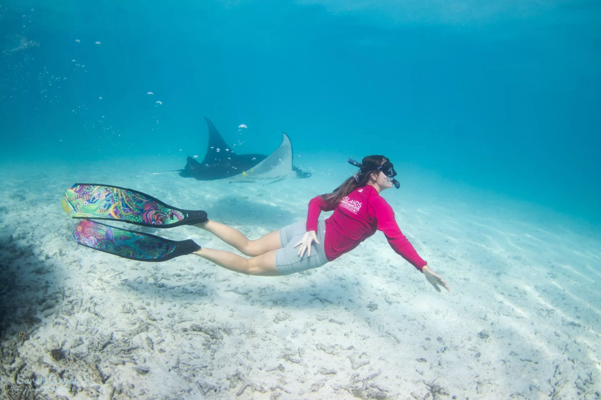 swim with whale shark exmouth