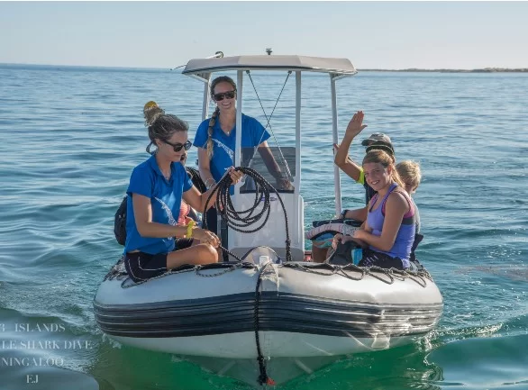 exmouth swim with whale sharks