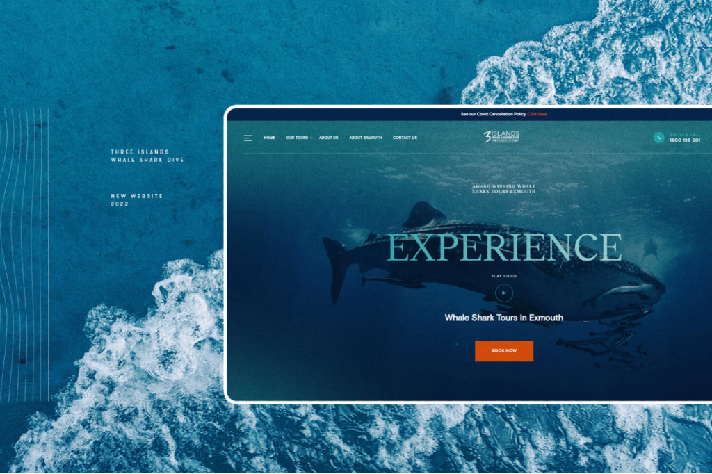 Our New Site Is Live! – Three Islands Whale Shark Dive