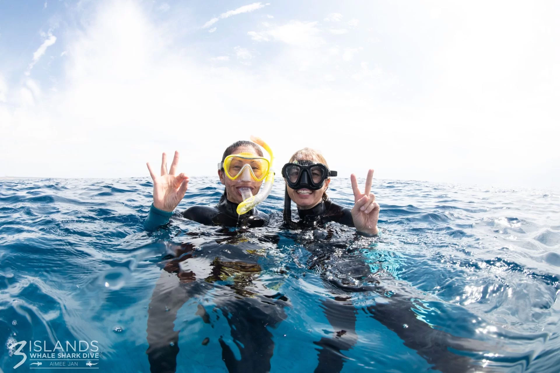 snorkeling with humpback whales